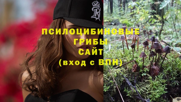 ГАЛЛЮЦИНОГЕННЫЕ ГРИБЫ Заволжье