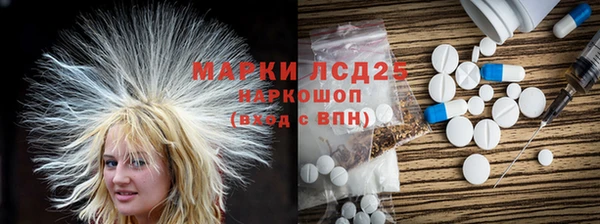 ГАЛЛЮЦИНОГЕННЫЕ ГРИБЫ Заволжье