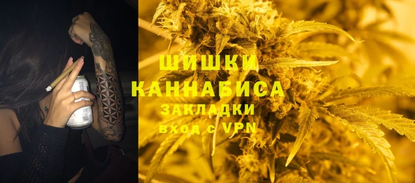 ГАЛЛЮЦИНОГЕННЫЕ ГРИБЫ Заволжье
