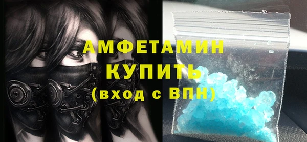 гашик Ельня