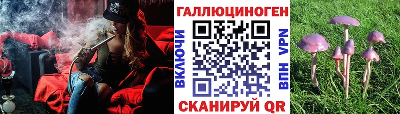 мориарти телеграм  Волгодонск  Галлюциногенные грибы Psilocybine cubensis 